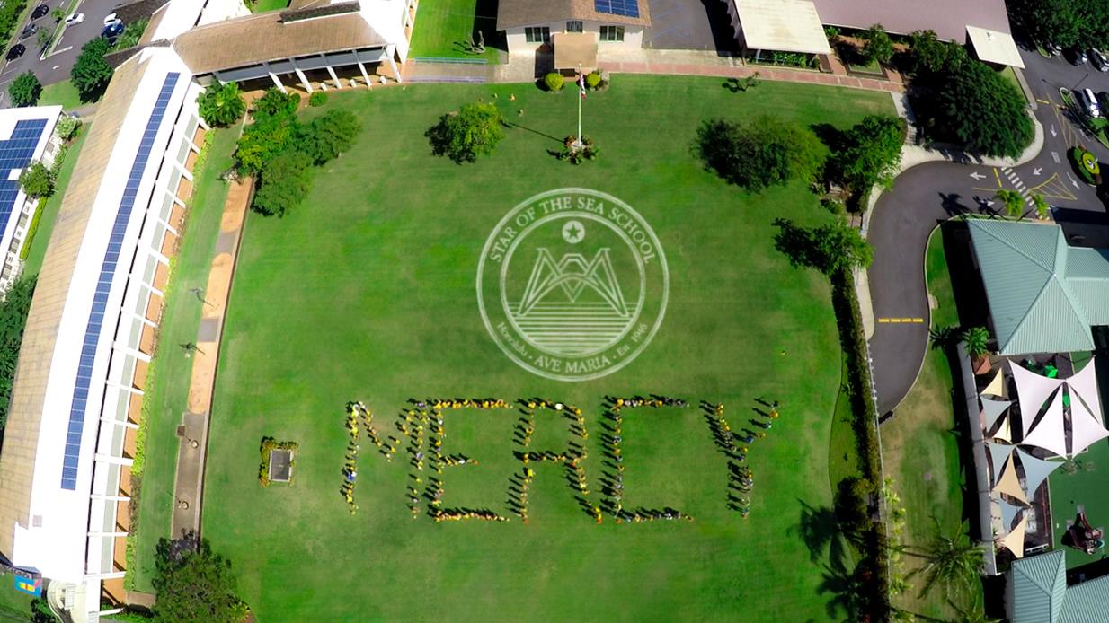 Mary, Star of The Sea School's enclosed playground from above.