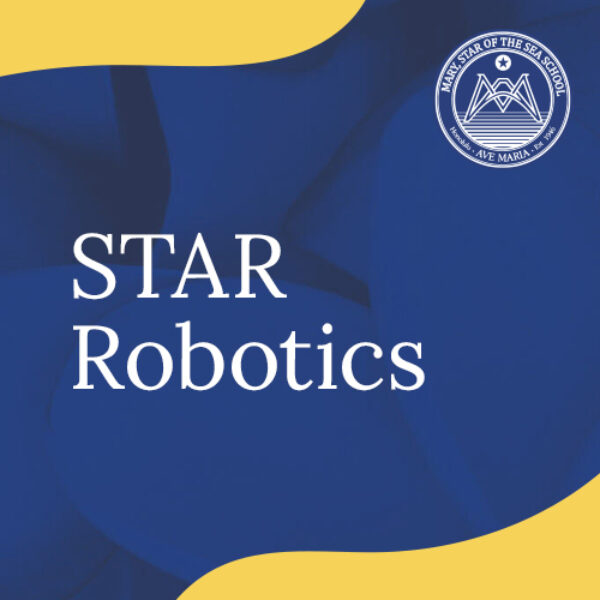 STAR Robotics